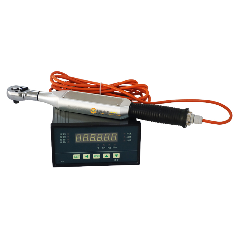 SGSX數(shù)顯扭力矩檢測扳手 高精度可換頭扭矩檢測扳手